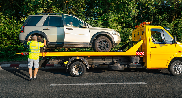 evakuatori gamodzaxebit